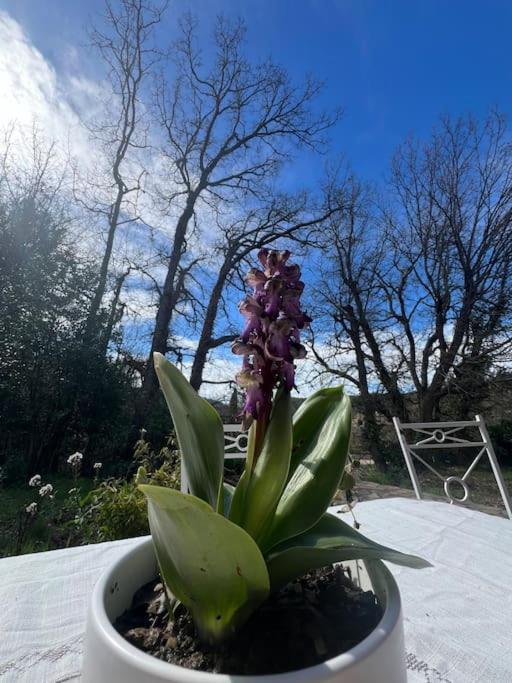 Villa Au Coeur De La Provence Evenos Eksteriør billede